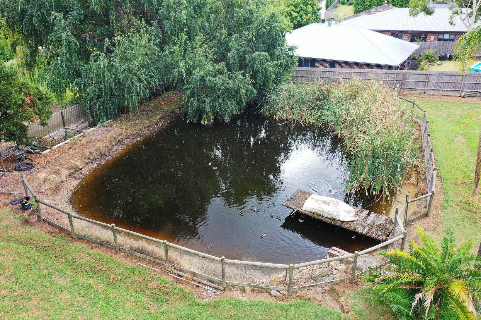 11B Bailey Grove, Wandin North image 9