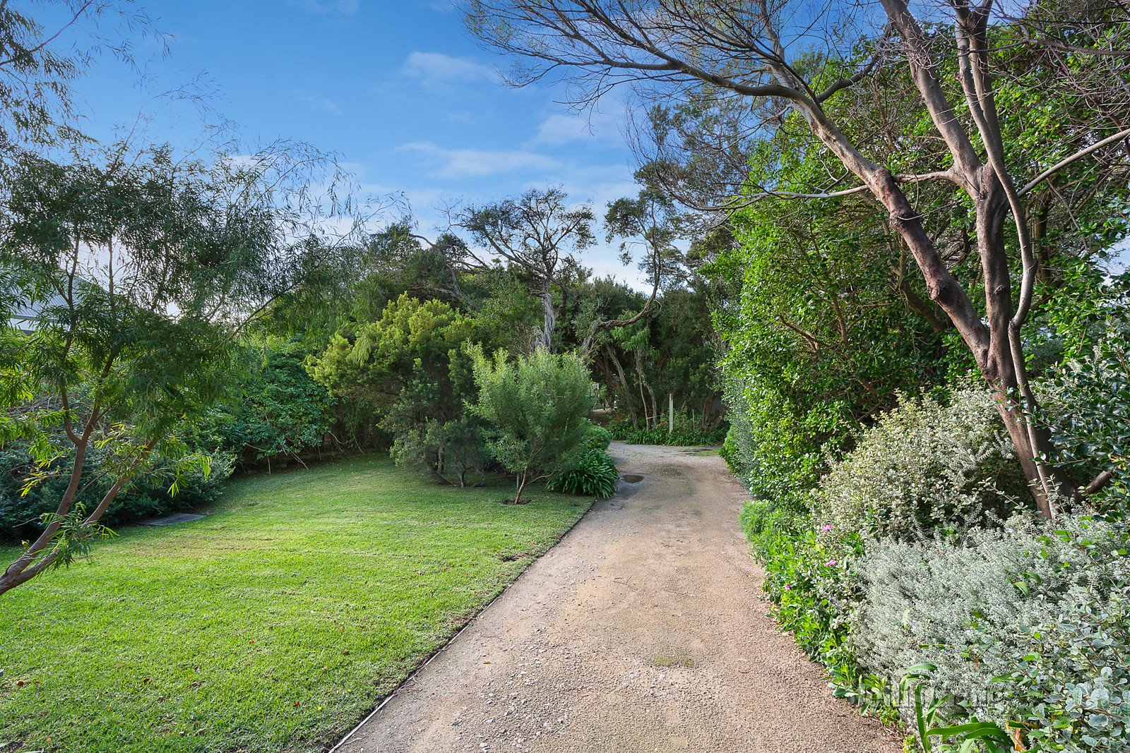 12 Archer Street, Blairgowrie image 8