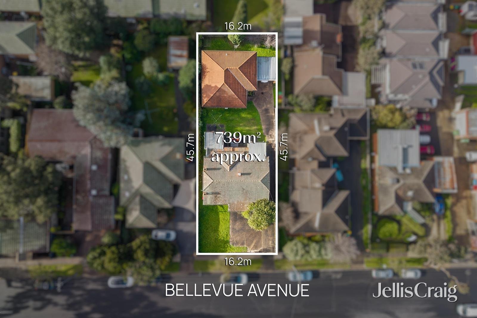 12 Bellevue Avenue, Rosanna image 1