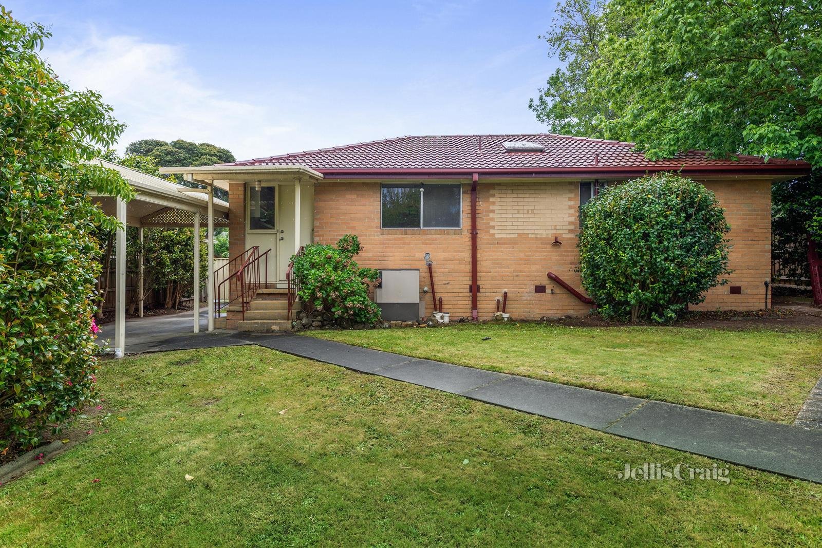 12 Berkley Road, Ringwood image 6