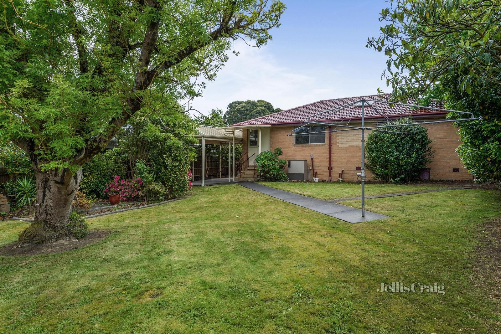 12 Berkley Road, Ringwood image 7