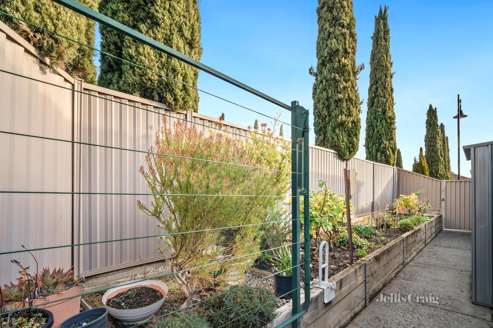12 Brighton Court, Wendouree image 12