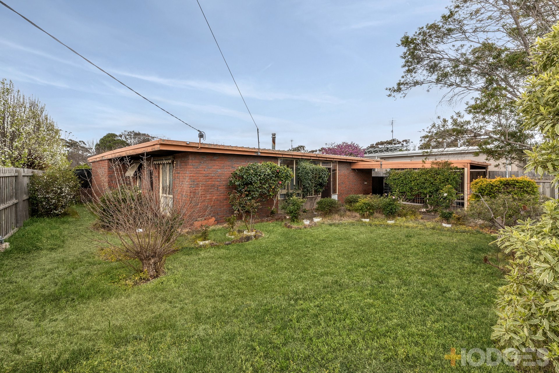 12 Callistemon Court Ocean Grove