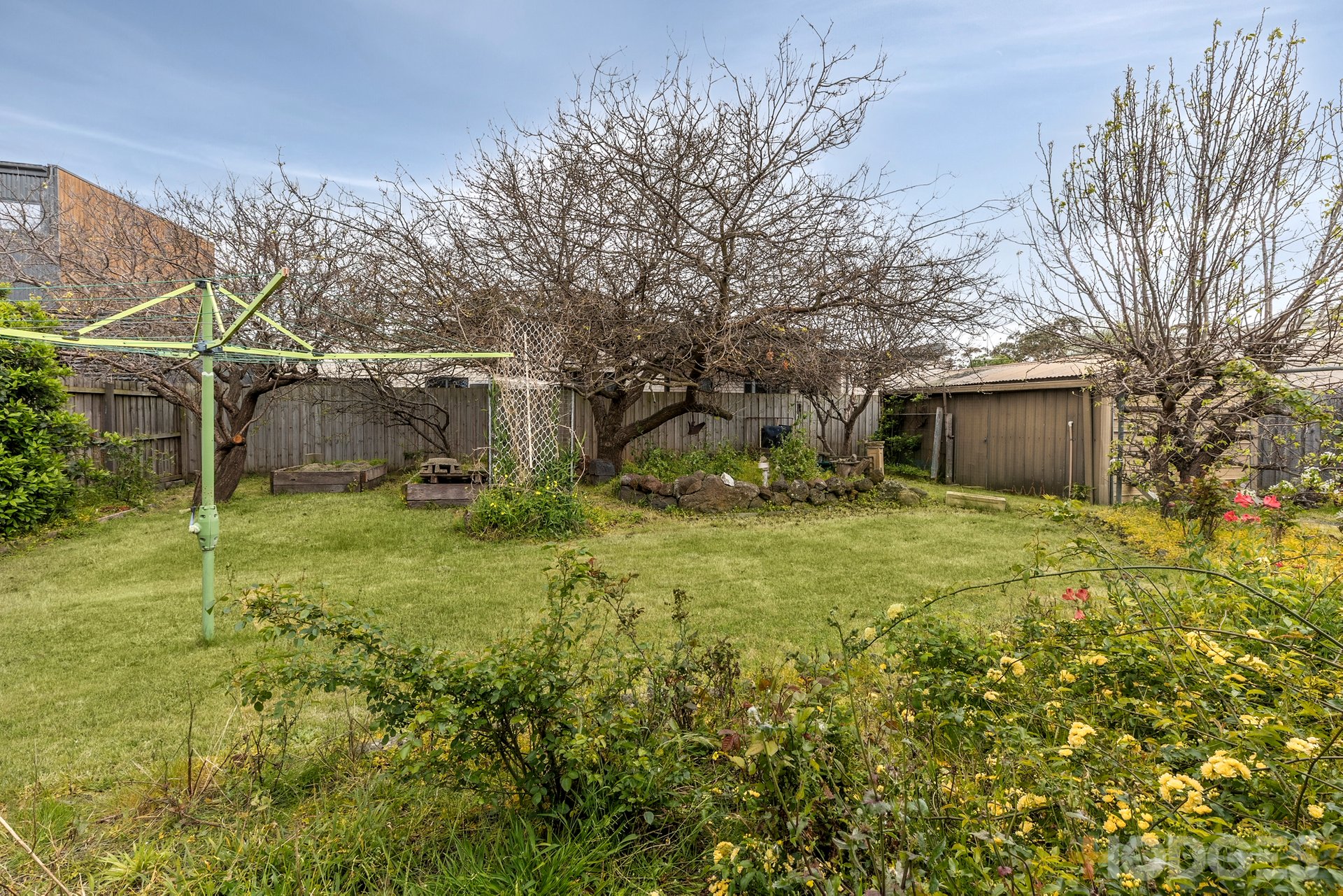 12 Callistemon Court Ocean Grove