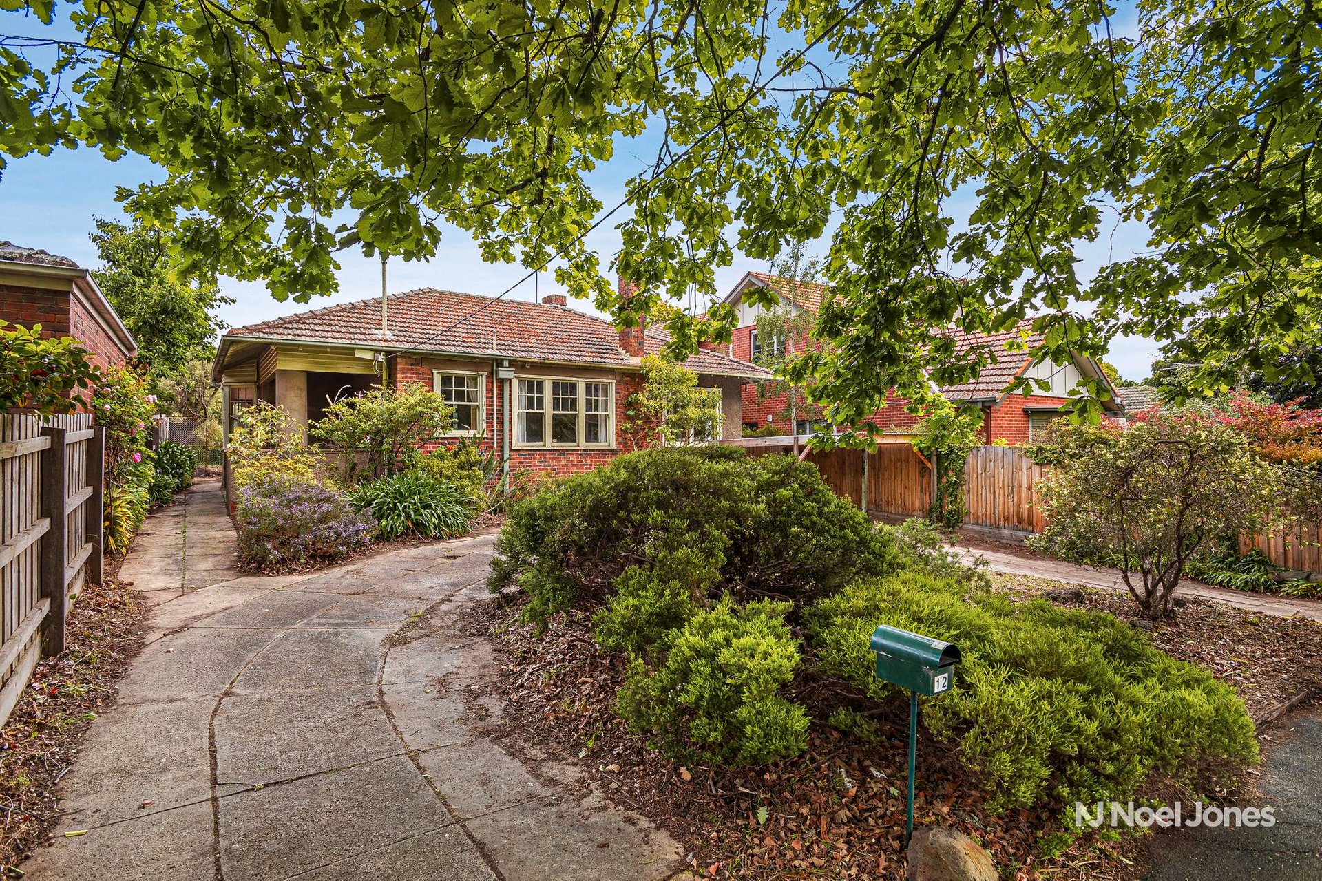 12 Carramar Avenue, Camberwell image 3
