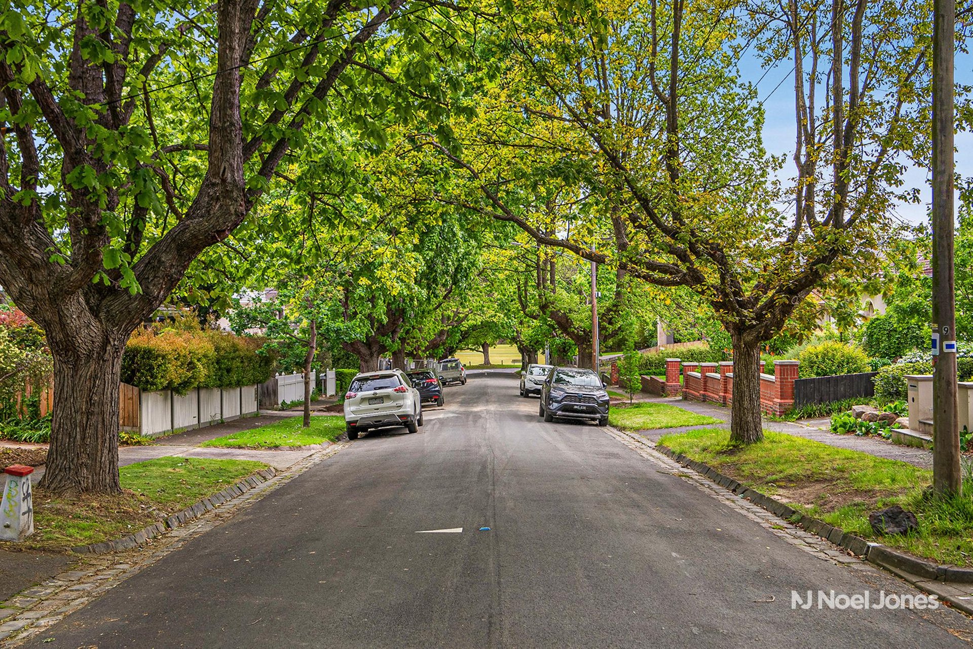 12 Carramar Avenue, Camberwell image 9