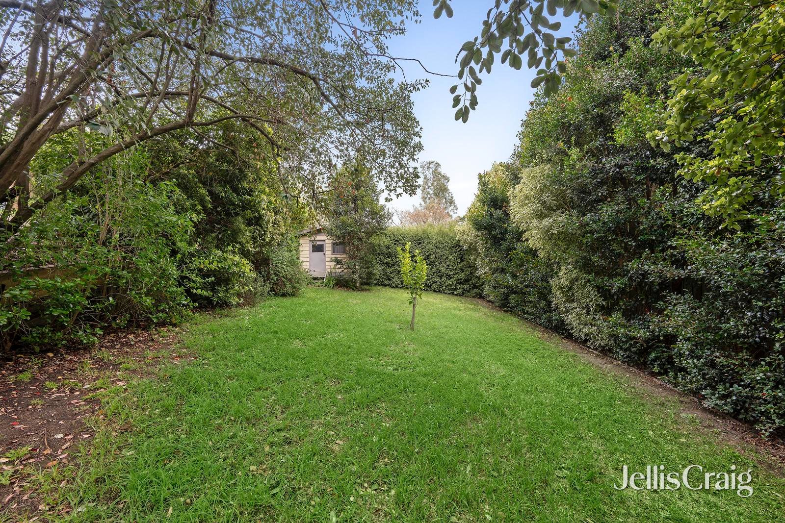 12 Circle Ridge, Chirnside Park image 11