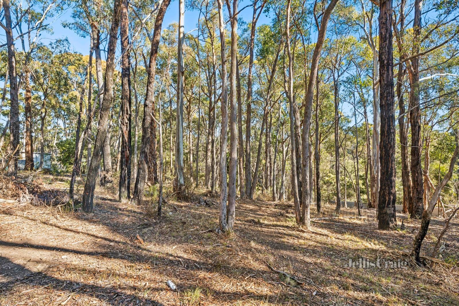 12 Connells Gully Road, Daylesford image 2