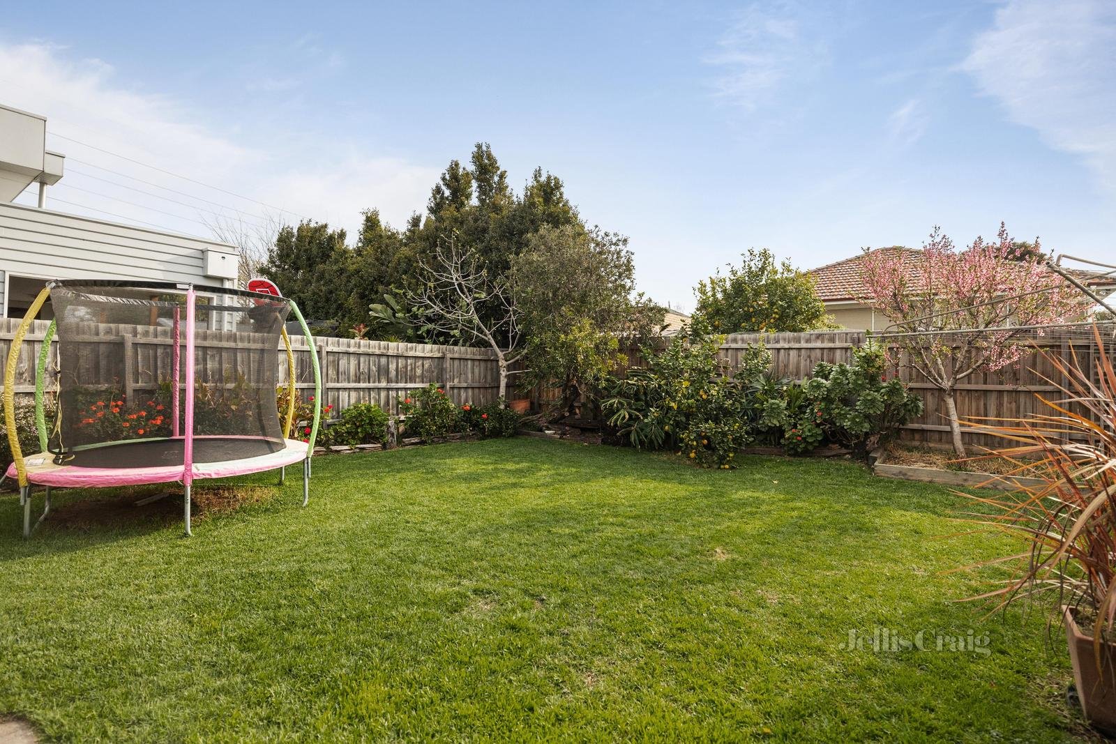12 Cranbrook Street, Yarraville image 8