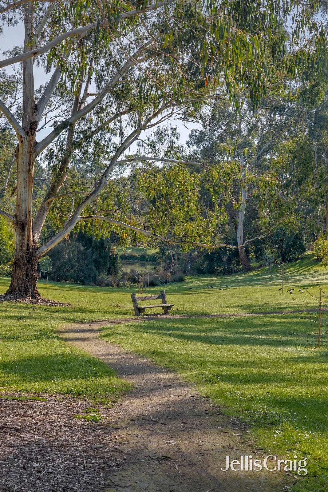12 Croydon Hills Drive, Croydon&nbsp;Hills image 29