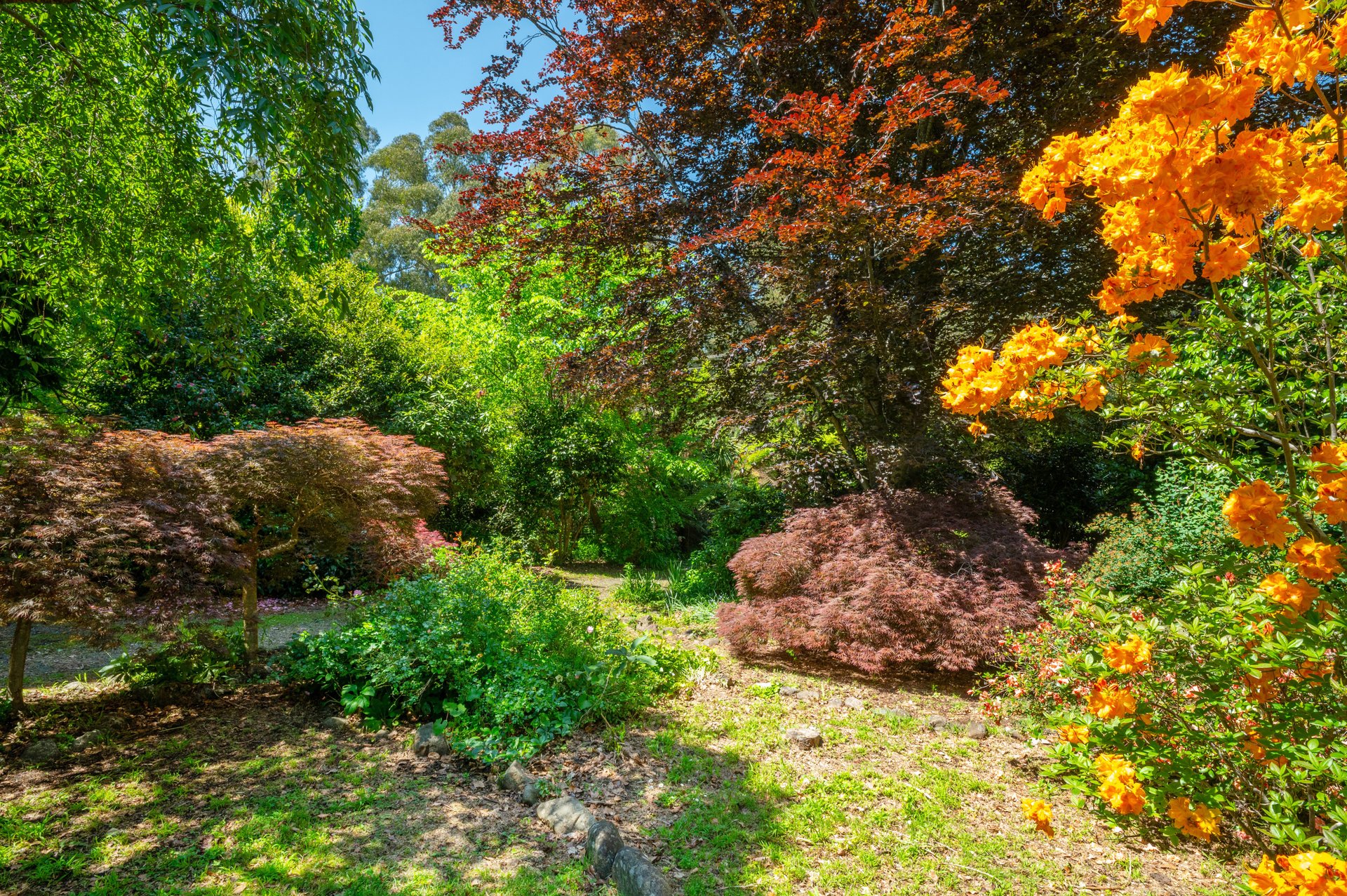 12 Dammans Road, Warburton image 9
