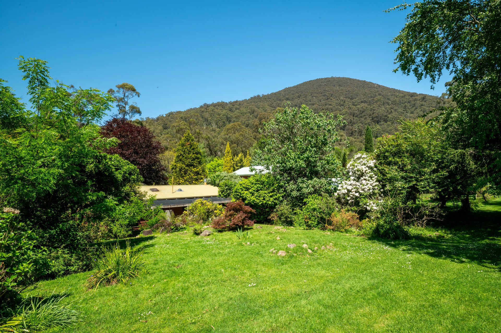 12 Dammans Road, Warburton image 10