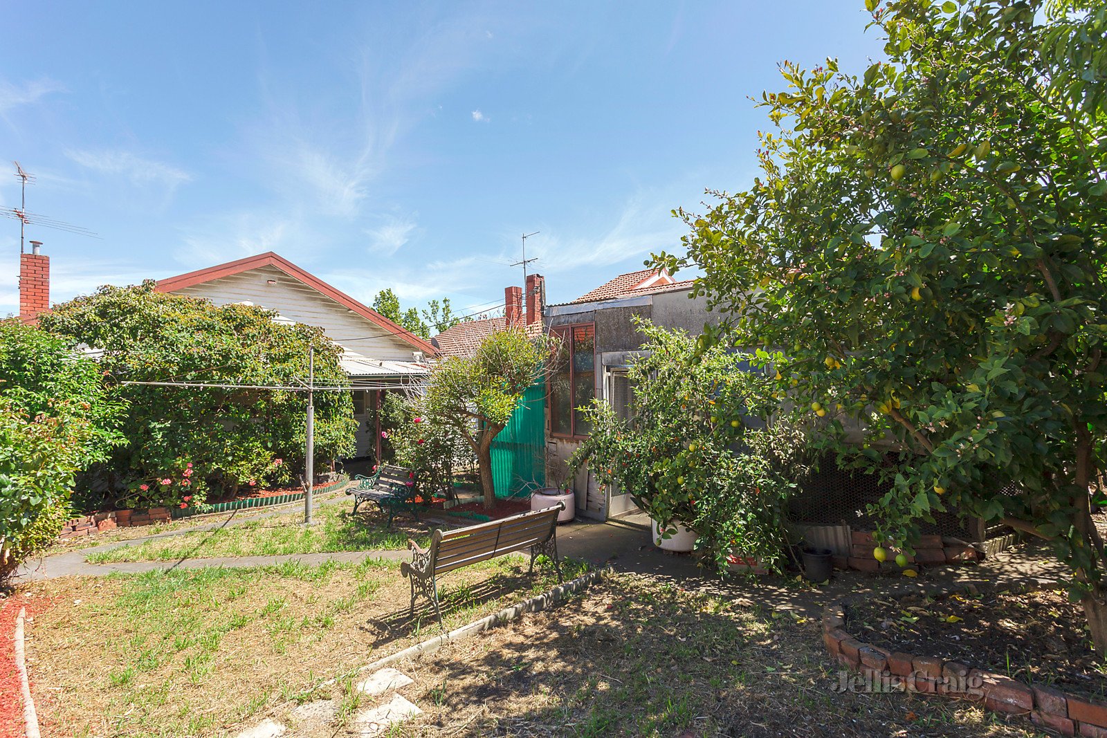 12 Devon Avenue, Coburg image 7