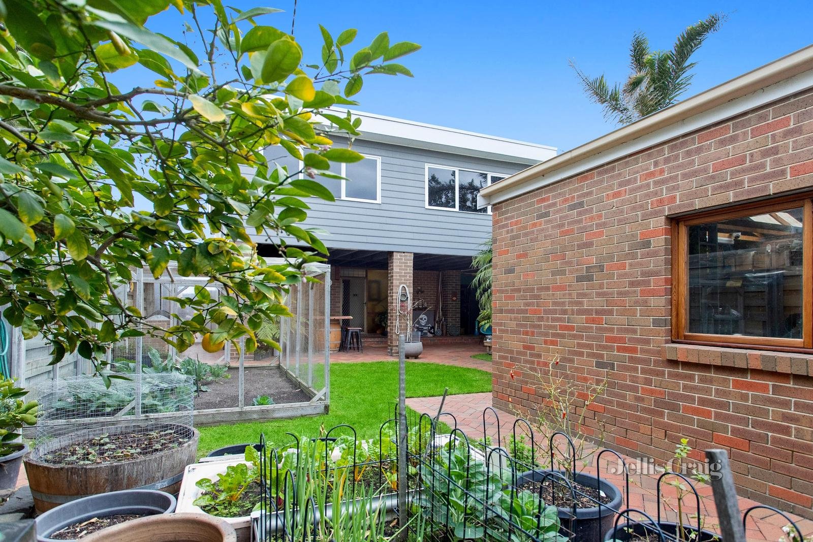 12 Dudley Grove, Edithvale image 17