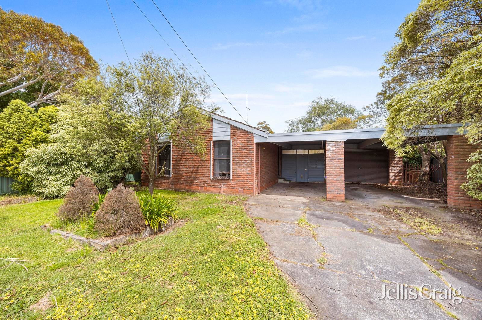 12 Ealing Avenue, Wendouree image 1