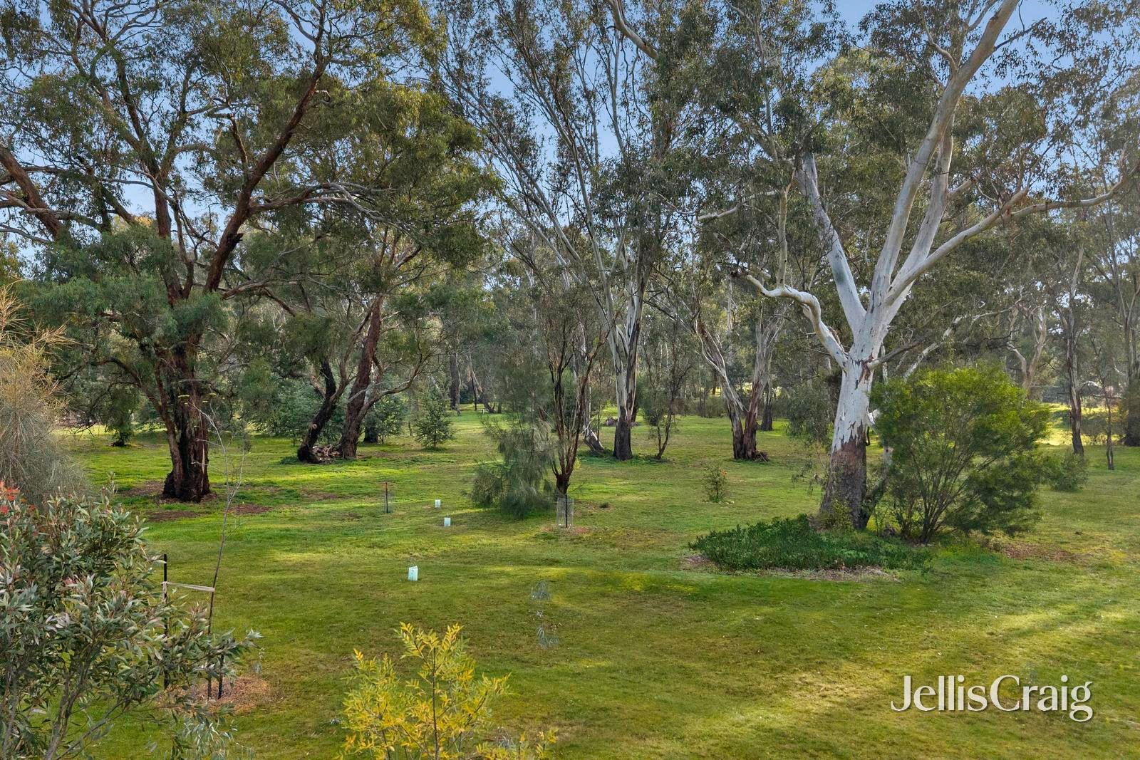 12 Fishermans Road, Welshmans&nbsp;Reef image 13
