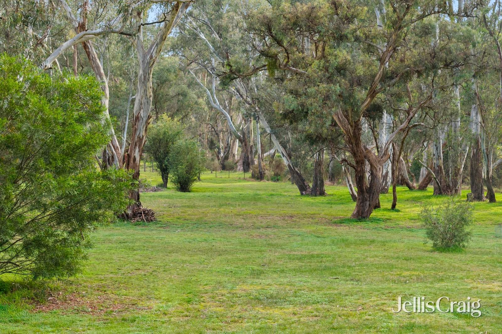 12 Fishermans Road, Welshmans&nbsp;Reef image 16