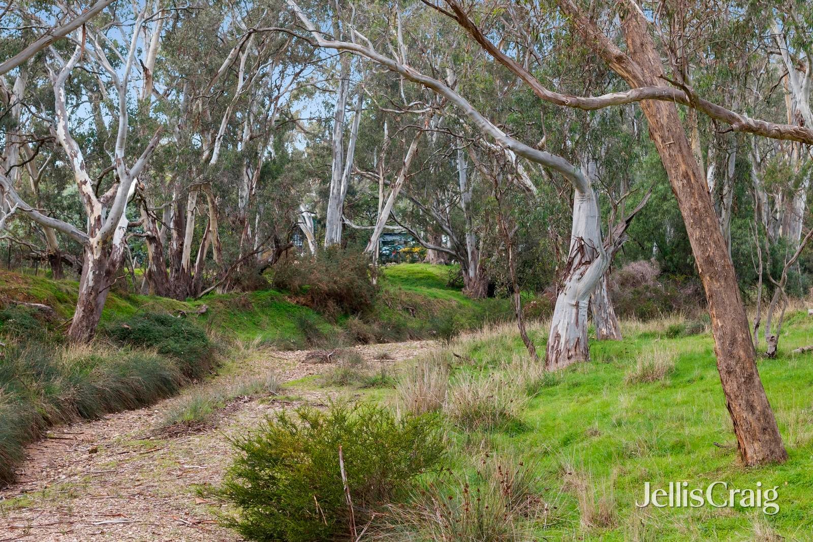 12 Fishermans Road, Welshmans&nbsp;Reef image 17