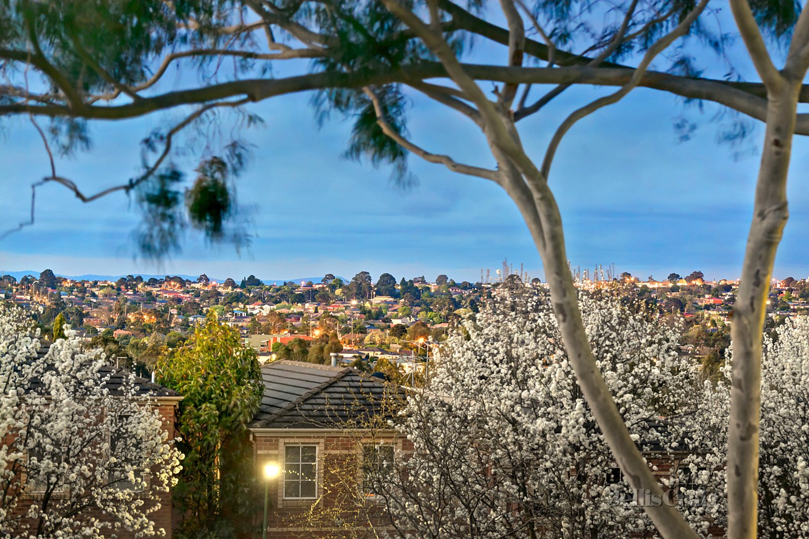 12 Forbes Place, Balwyn North image 7