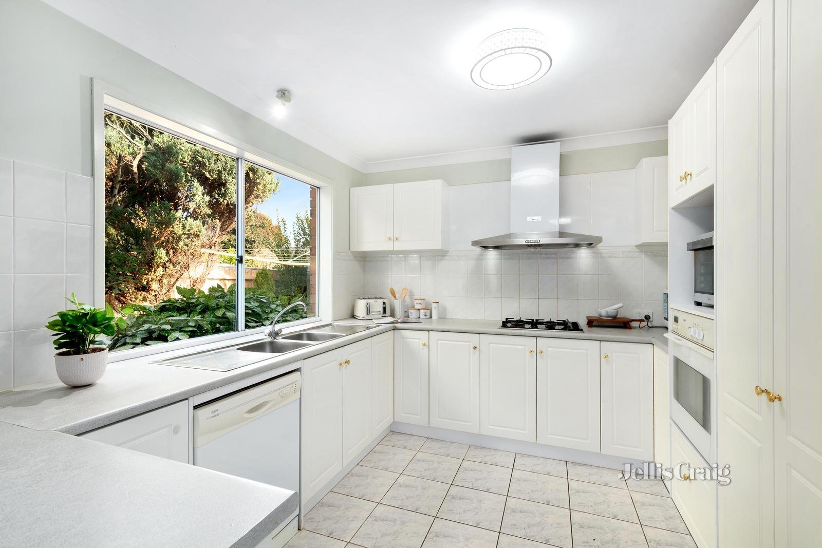 12 Forest Glen Avenue, Blackburn South image 4