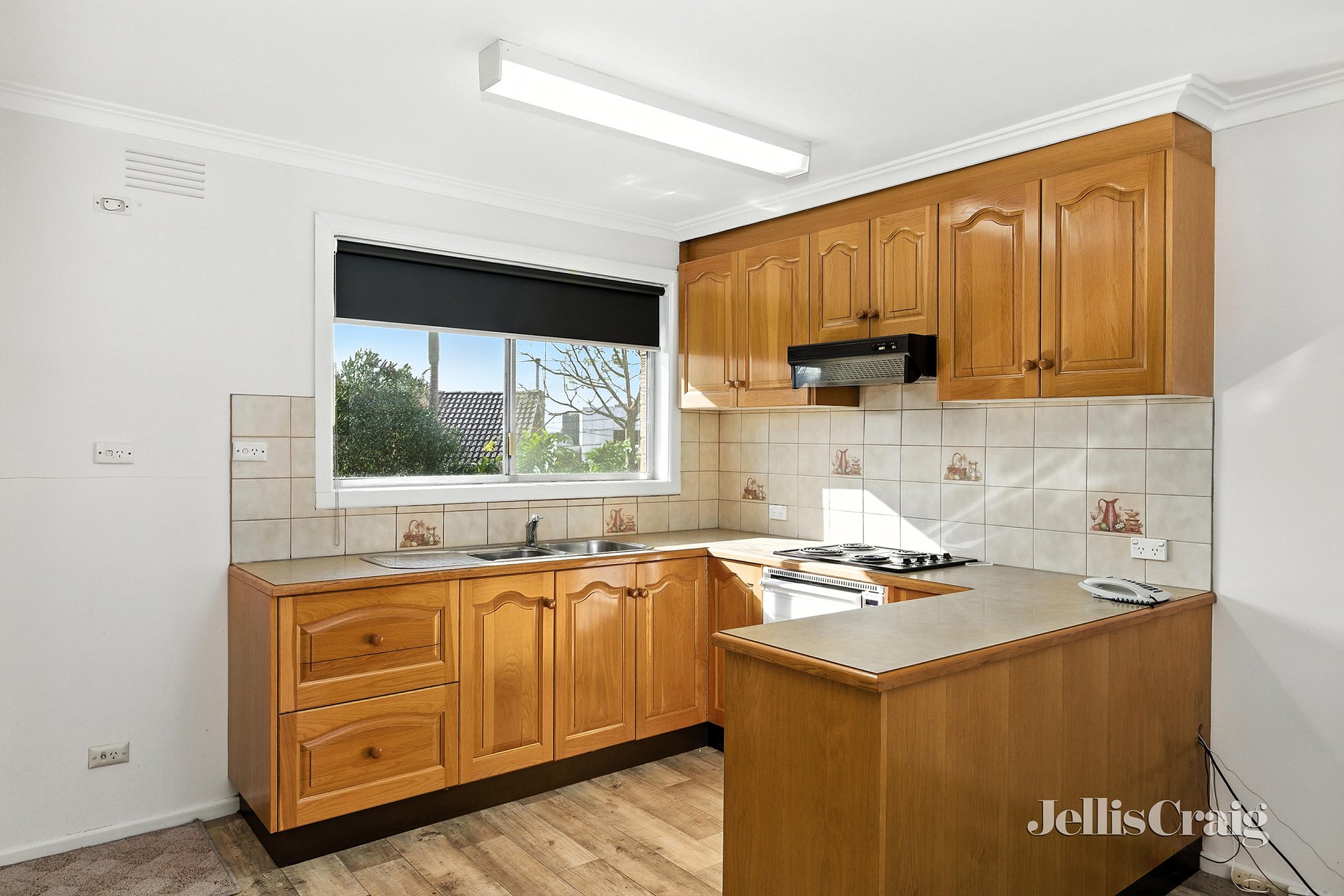 12 Grace Street, Watsonia image 4