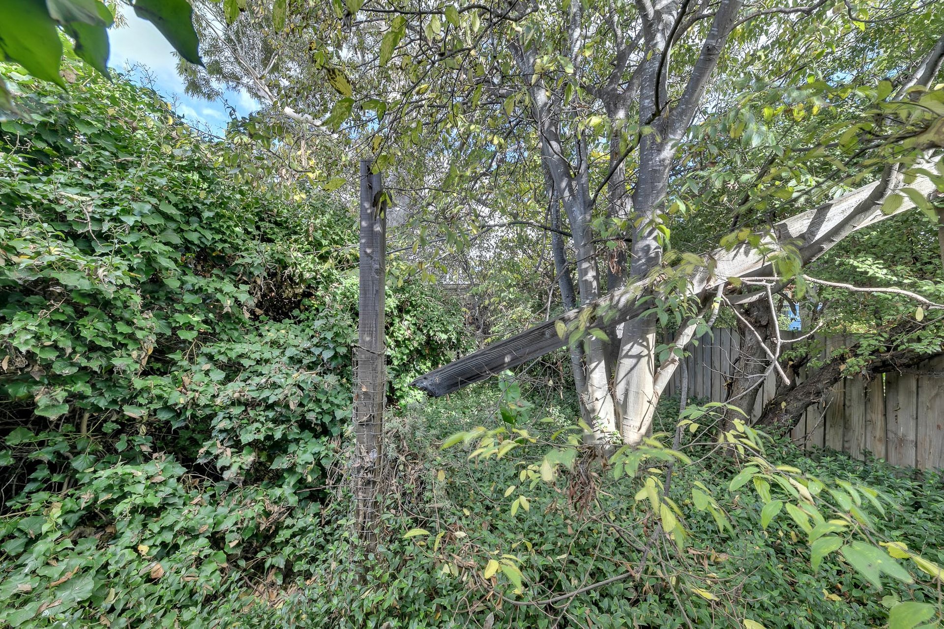 12 Henry Street, Geelong image 12