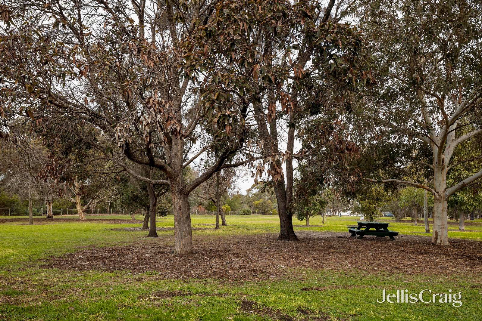 12 Holloway Close, Sandringham image 21