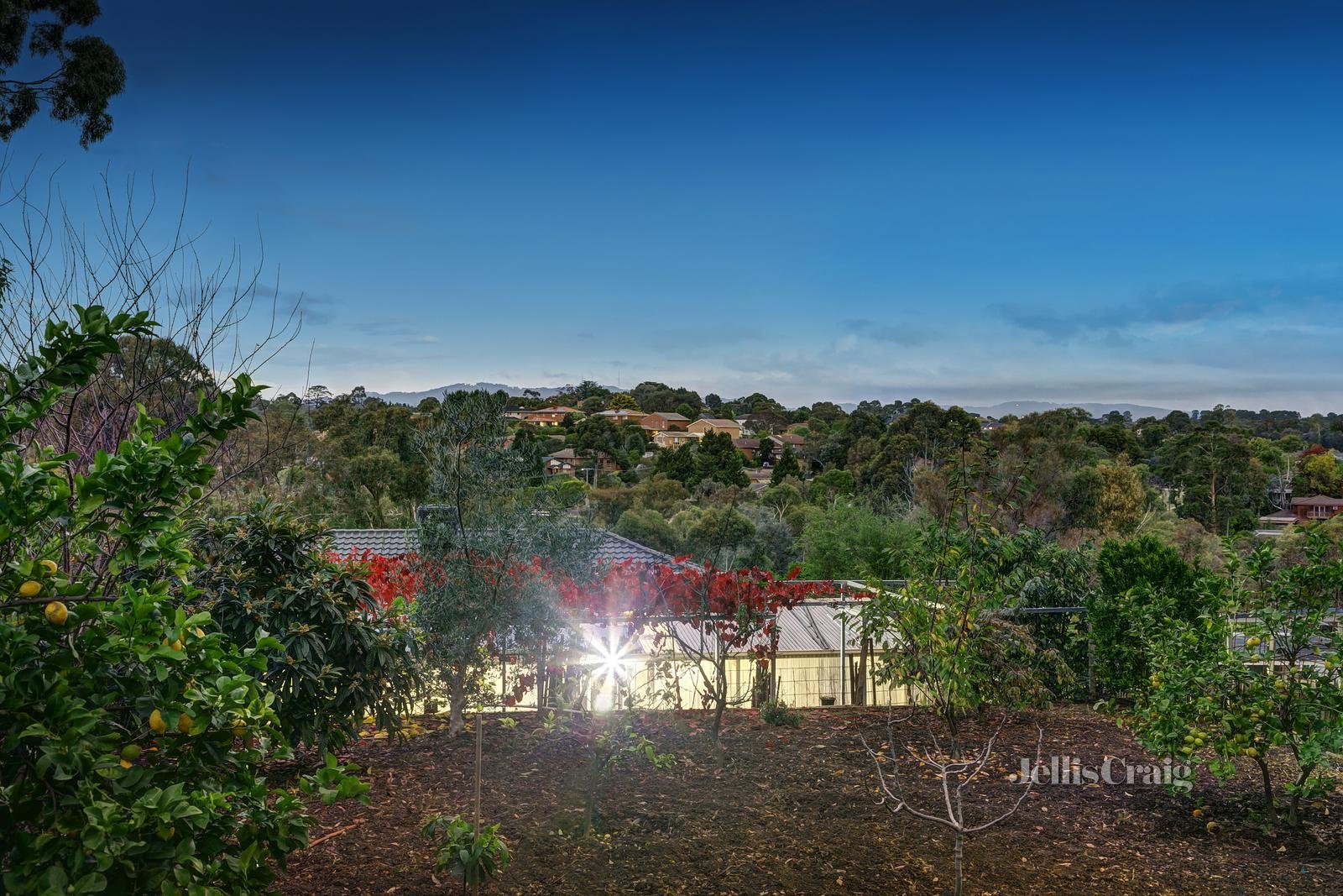 12 Landau Drive, Warranwood image 14