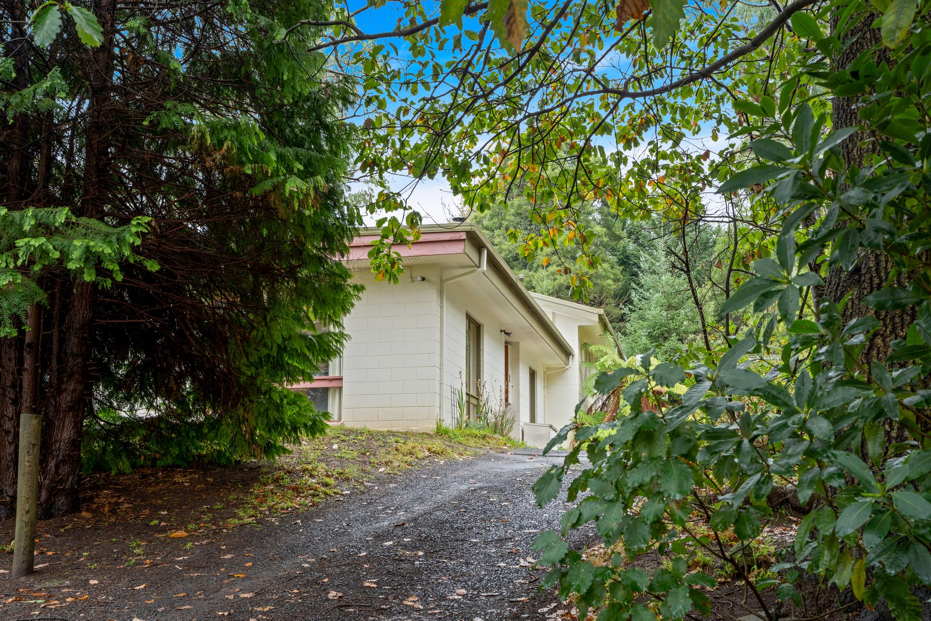 Property Gallery Thumbnail 6