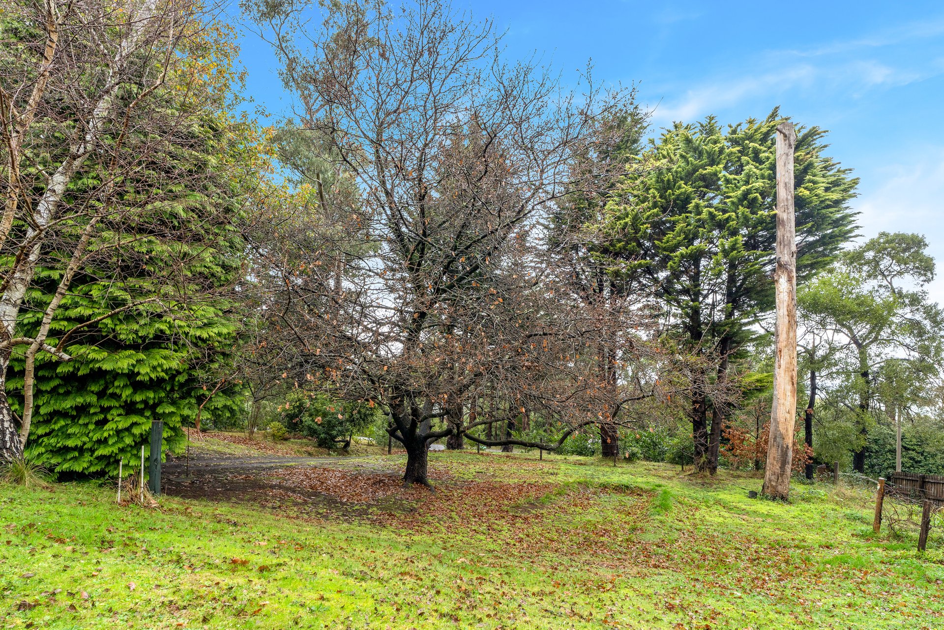 Property Gallery Thumbnail 13