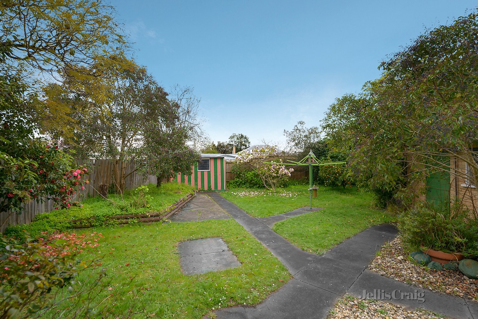 12 Marshall Road, Box Hill North image 5