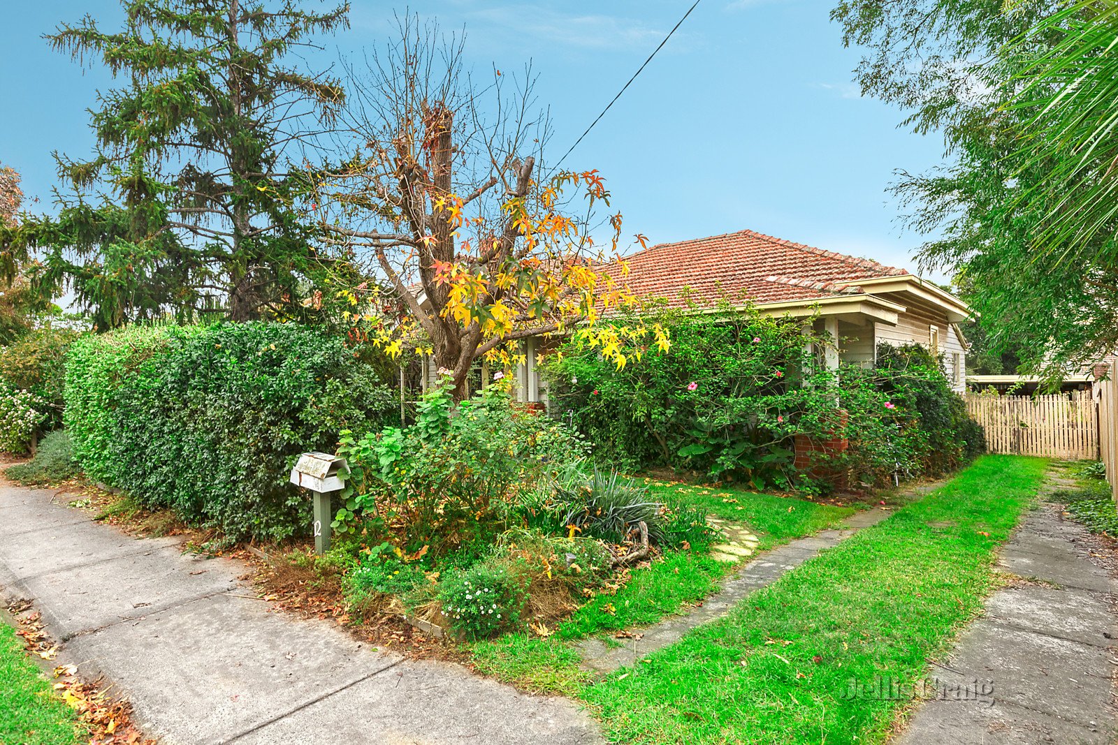 12 Mills Street, Glen Iris image 2