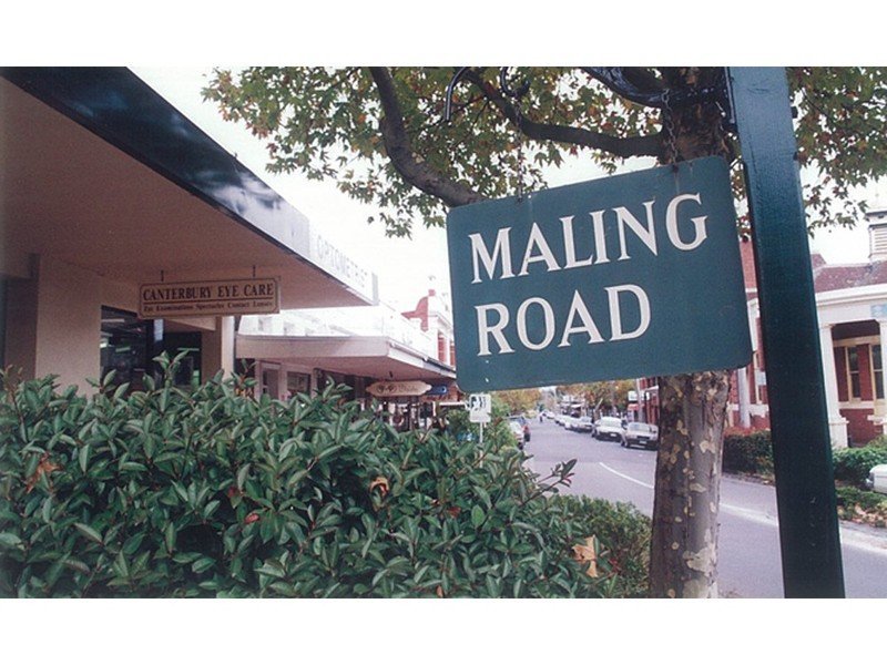 1/2 Milton Street, Canterbury image 8