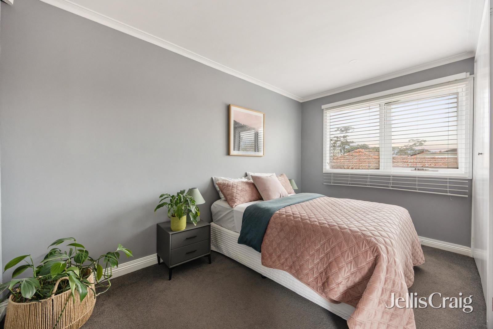 12 Missouri Avenue, Brighton image 8