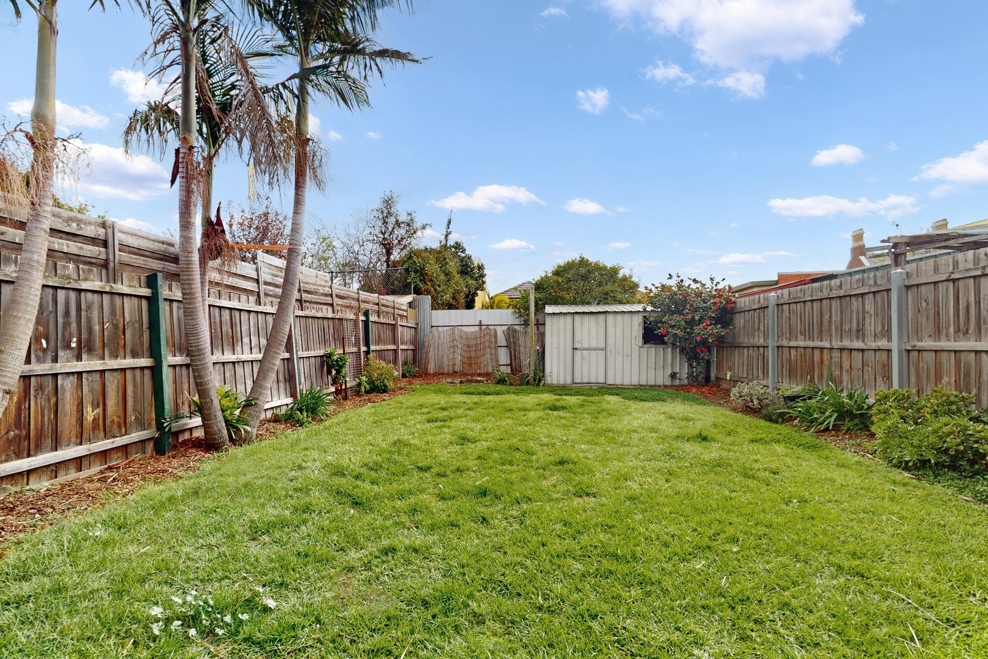 12 Moonee Street, Ascot&nbsp;Vale image 14