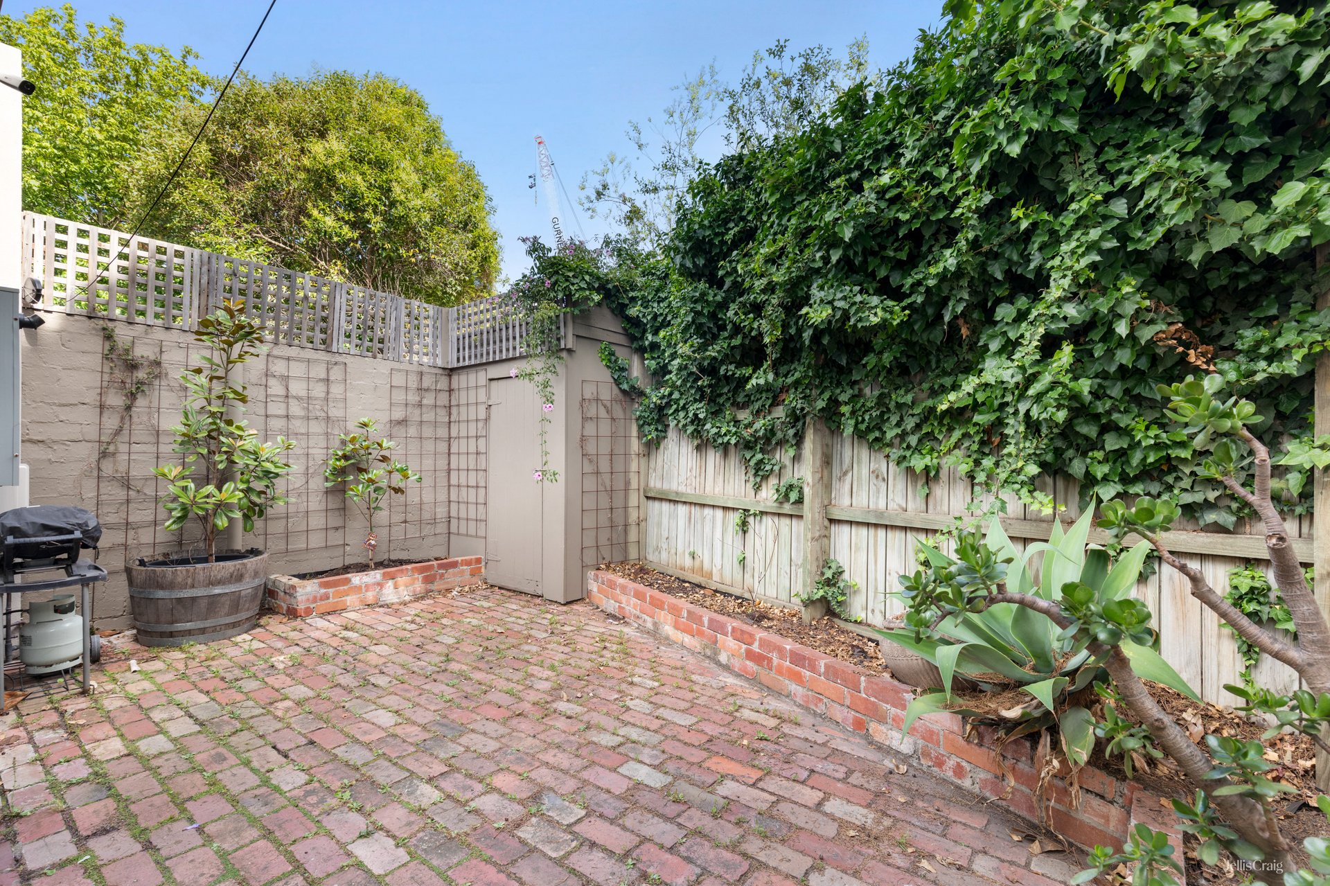 12 Palermo Street, South Yarra image 8