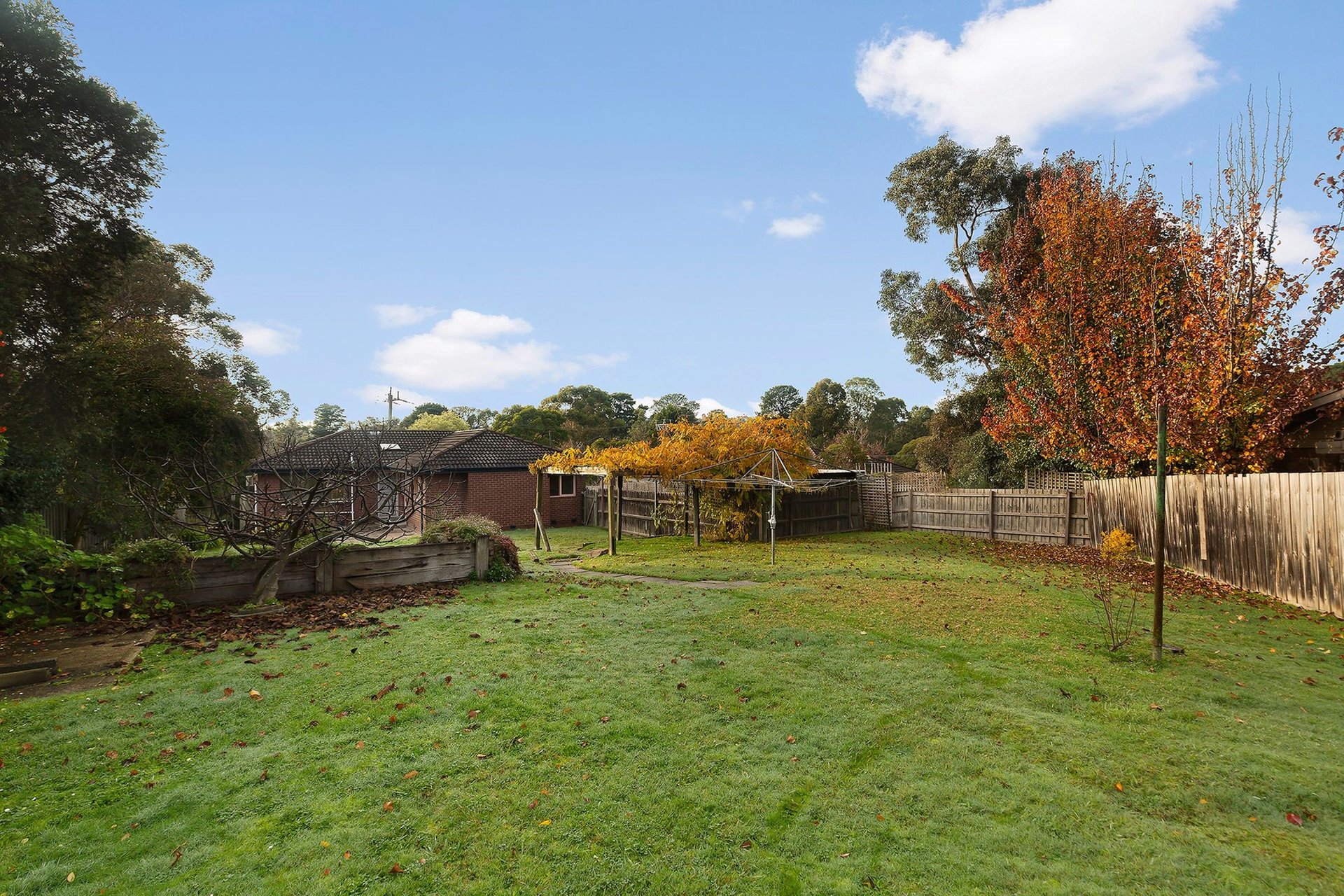 12 Rollington Drive, Ringwood image 8