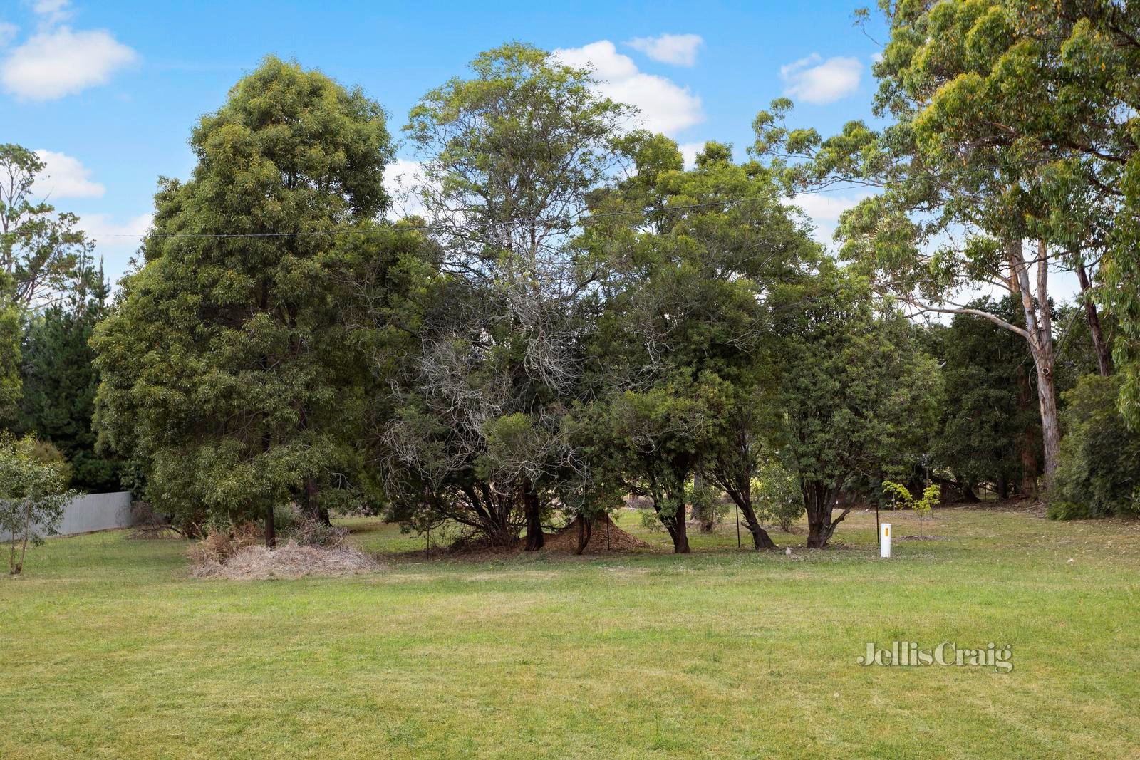 12 Spring Avenue, Sailors Falls image 4