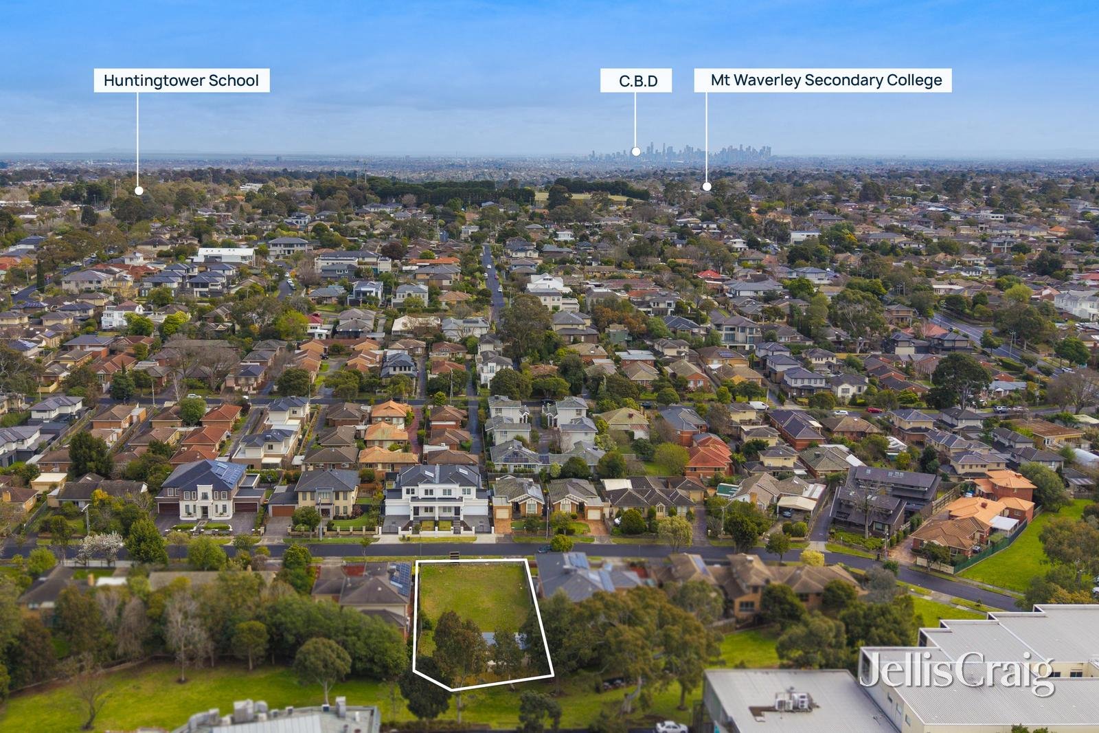 12 St Clair Crescent, Mount Waverley image 5