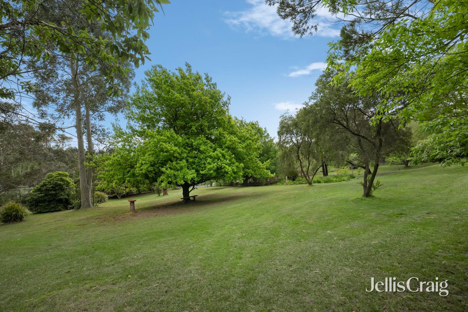 12 Steel Street, Healesville image 19