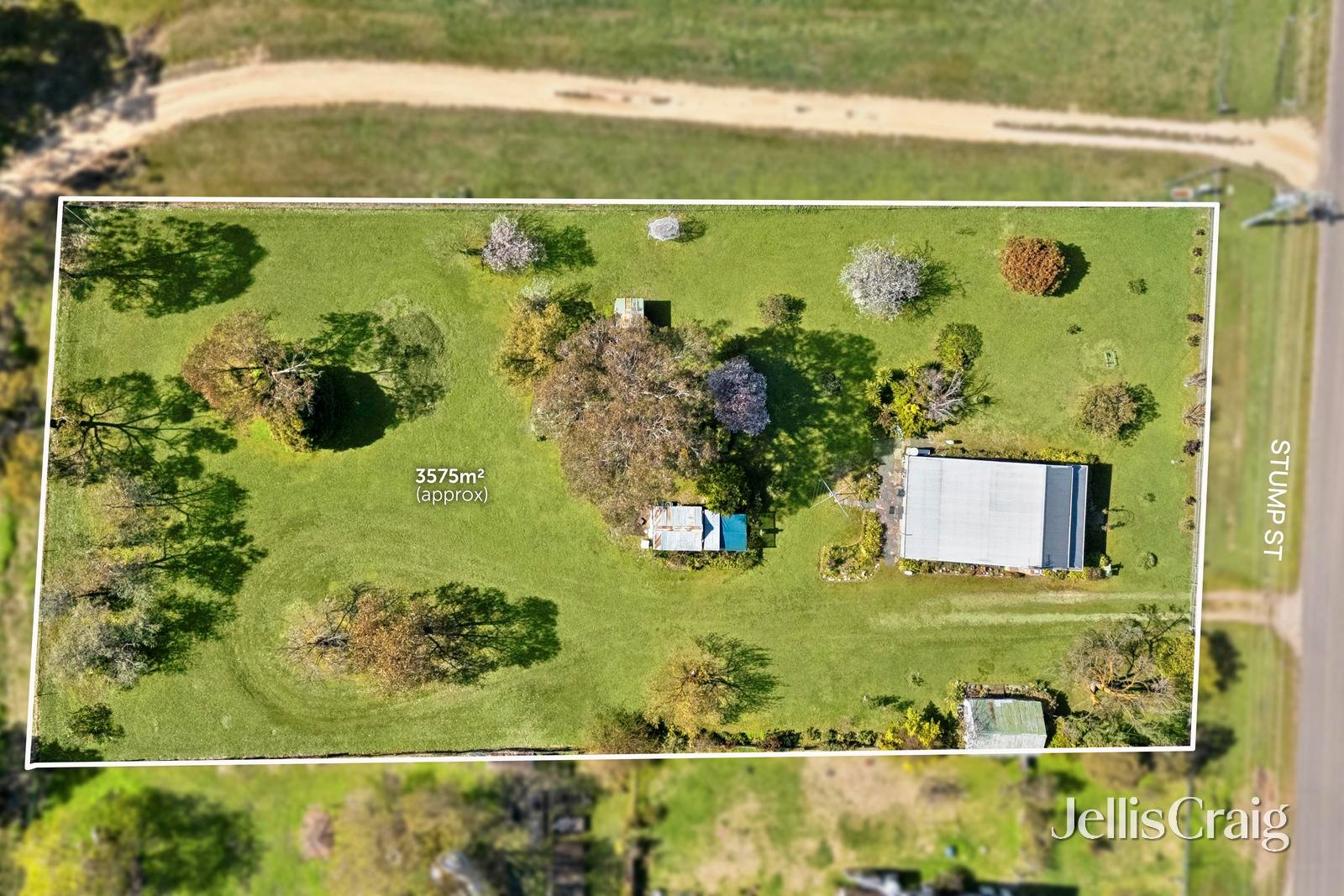 12 Stump Street, Maldon image 11