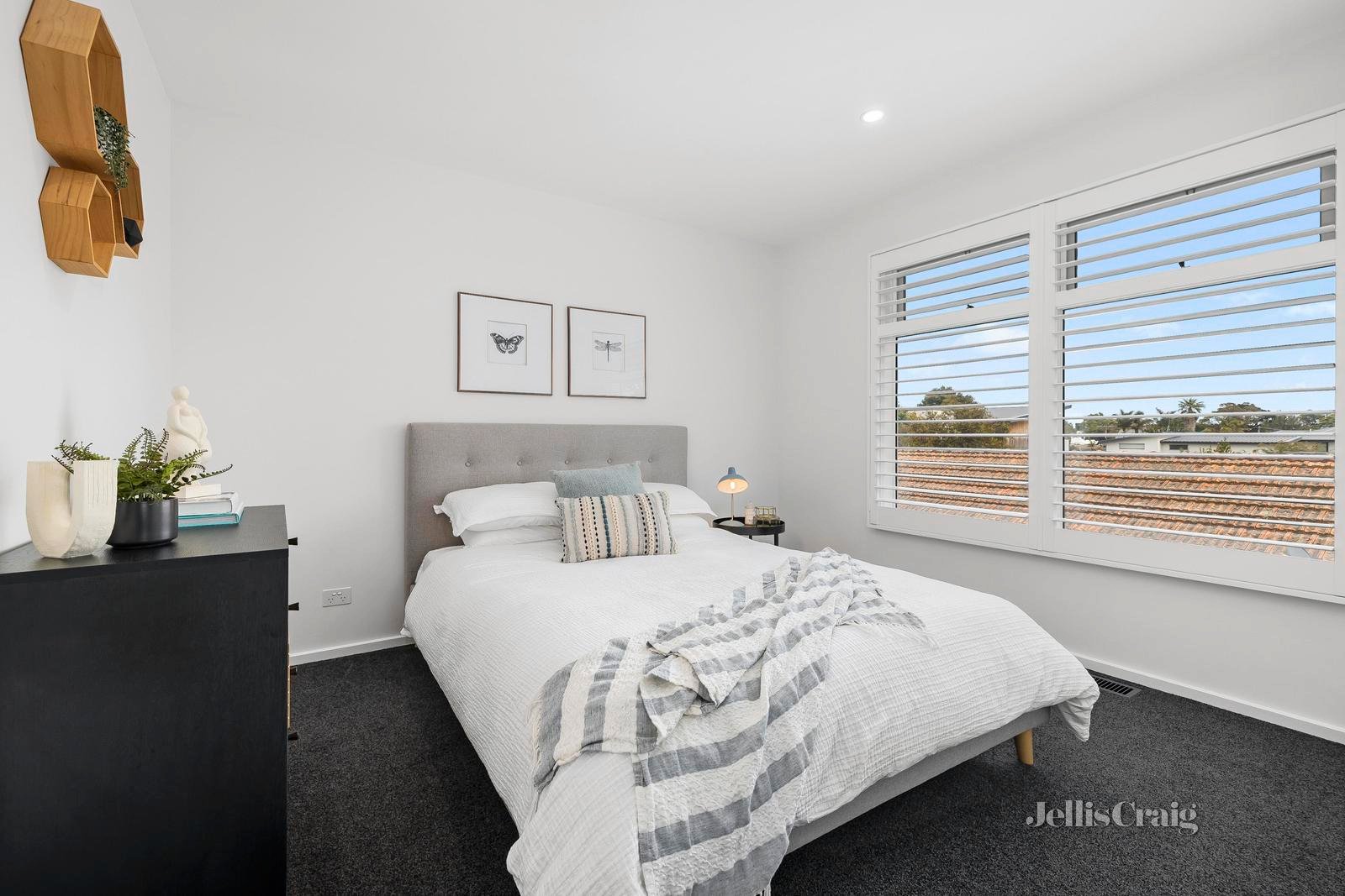 12 Ti-Tree Grove, Mornington image 10