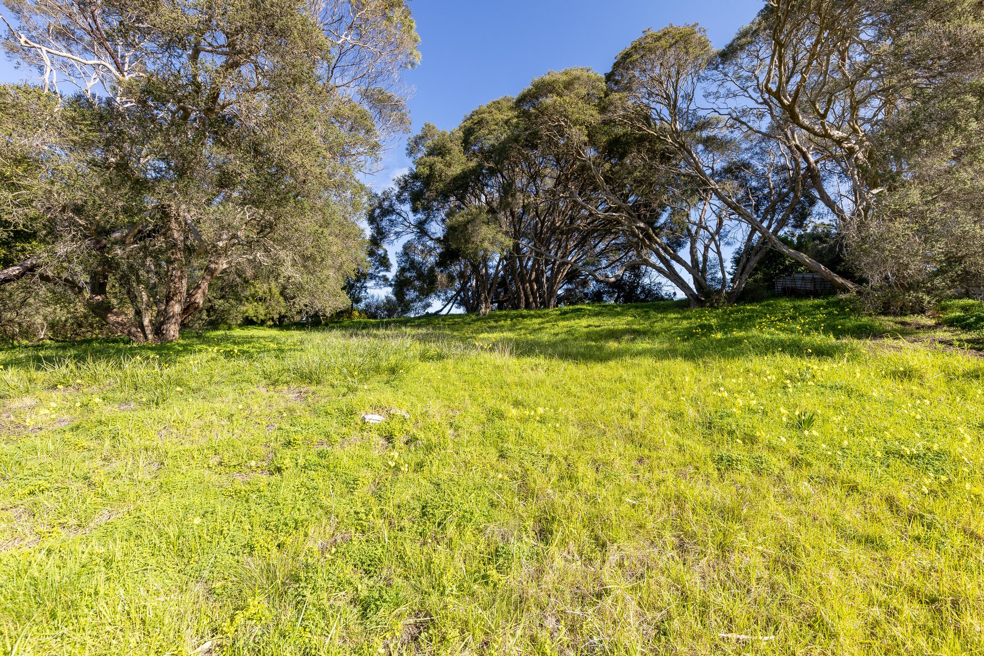 12 Tuerong Street RYE