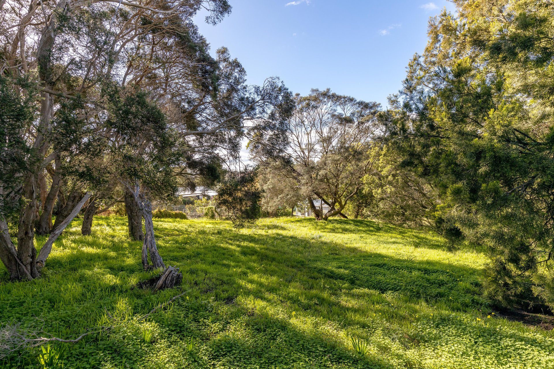 12 Tuerong Street RYE