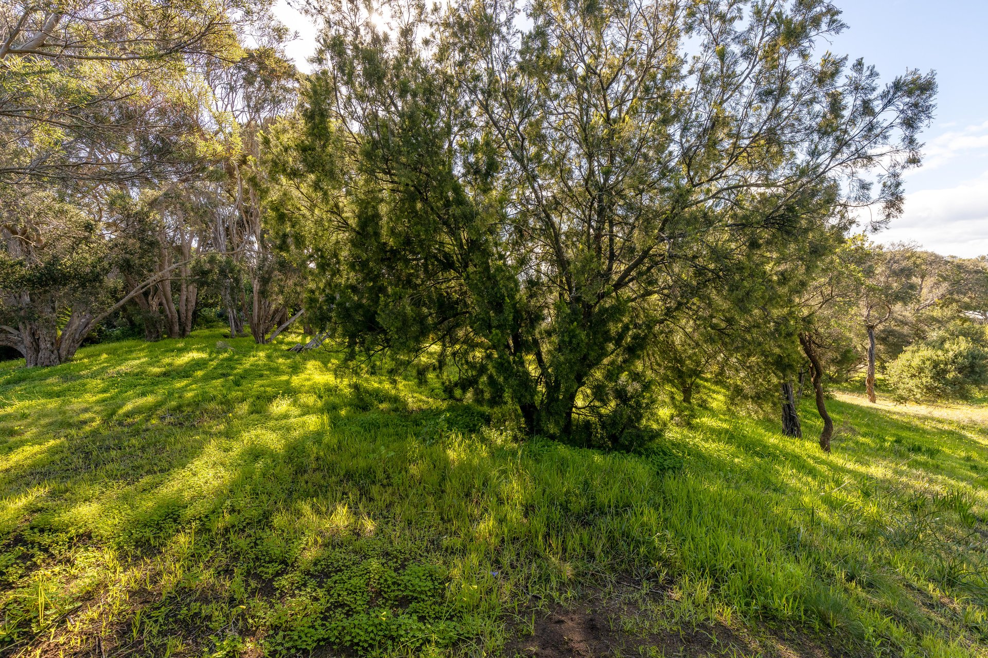 12 Tuerong Street RYE