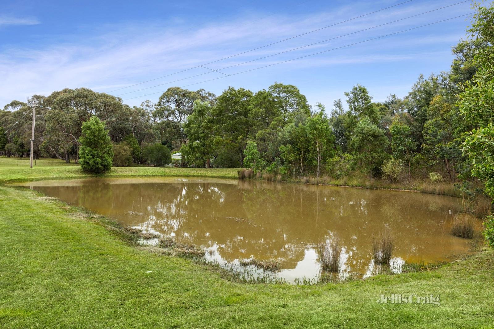 12 Waddell Road, Smythes Creek image 12