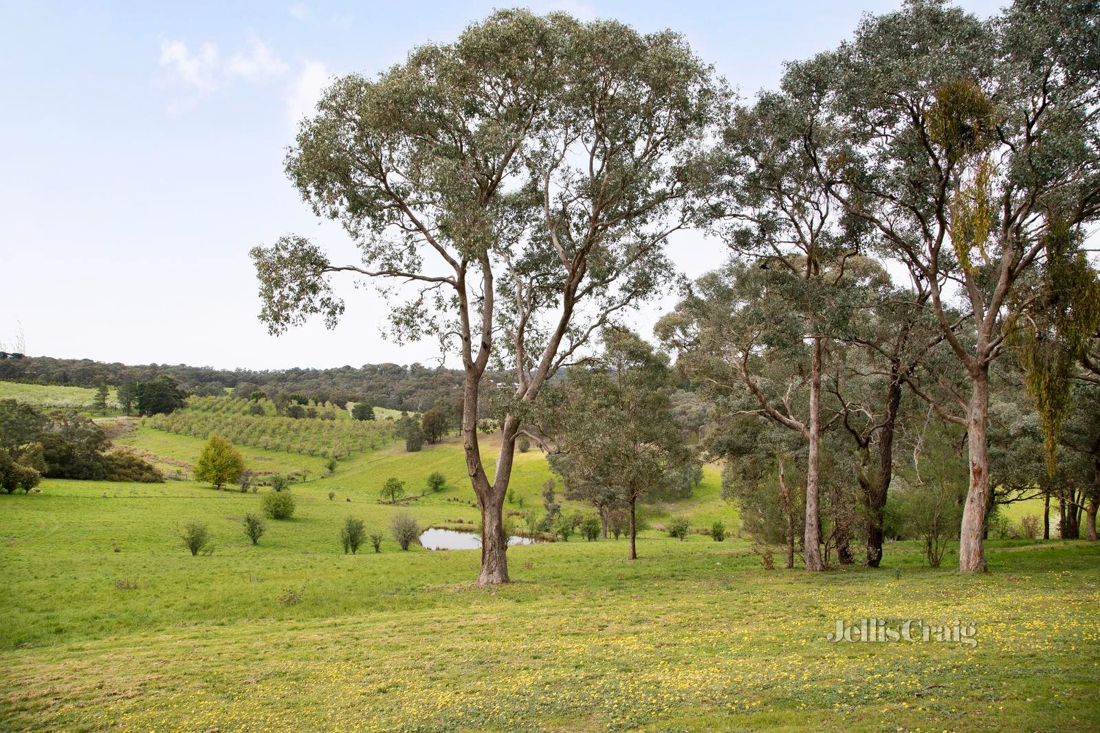 120 Cherry Tree Road, Hurstbridge image 23