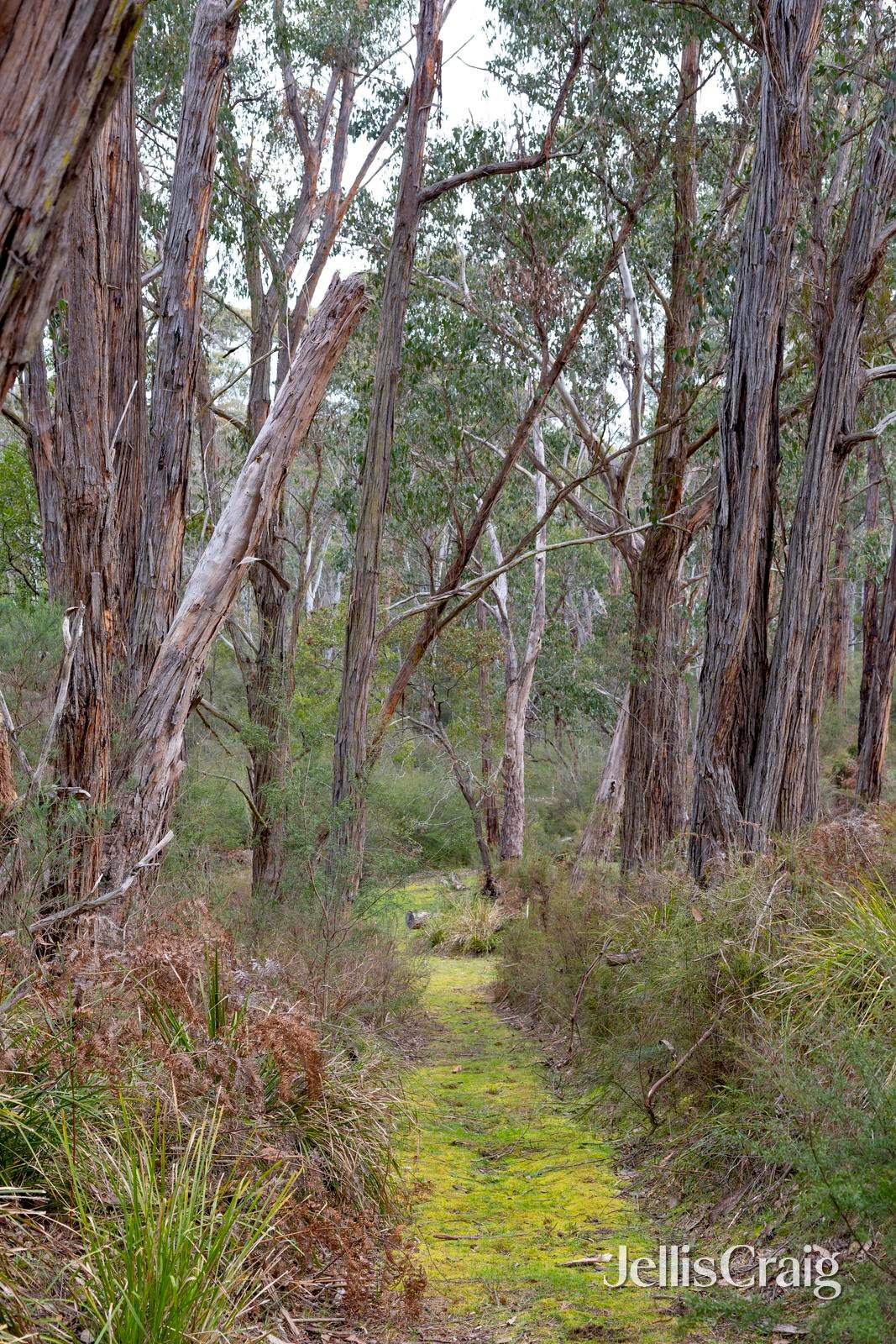 120 Dinsdale Road, St Andrews image 14