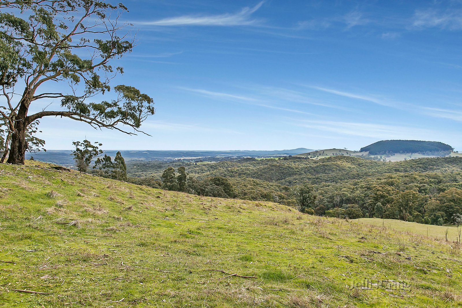 120 Mannings Road, Hepburn Springs image 5