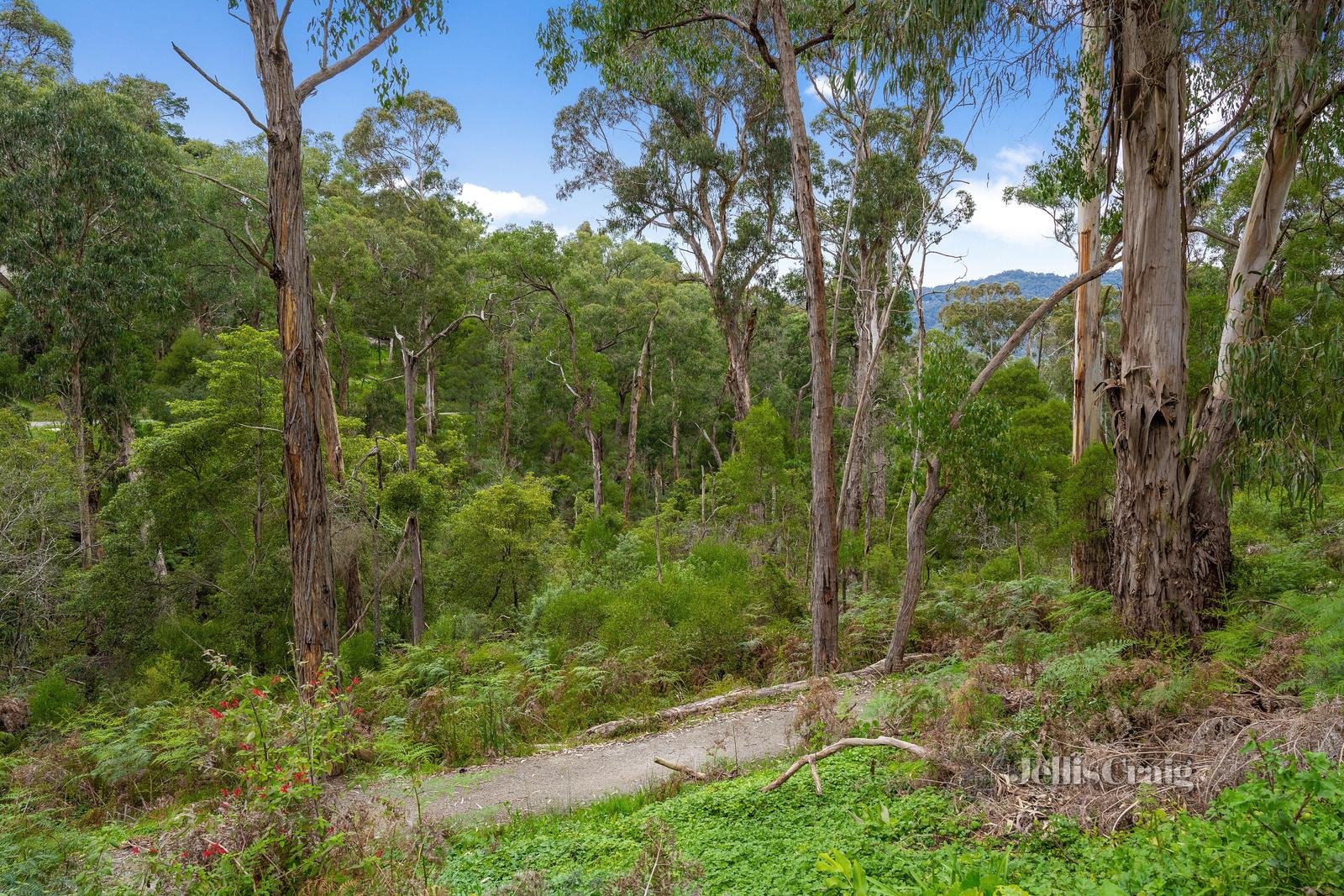 120 Quinn Crescent, Mount Evelyn image 4